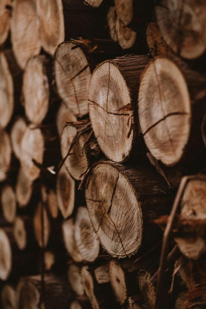 Close-up view of stacked timber logs showcasing texture and natural patterns in Itirapina.